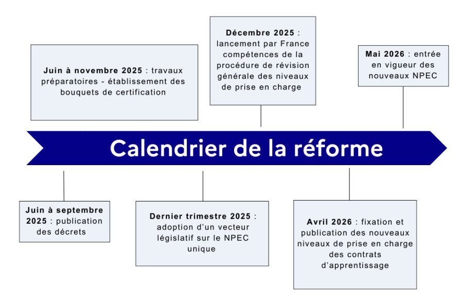 Réforme financement apprentissage